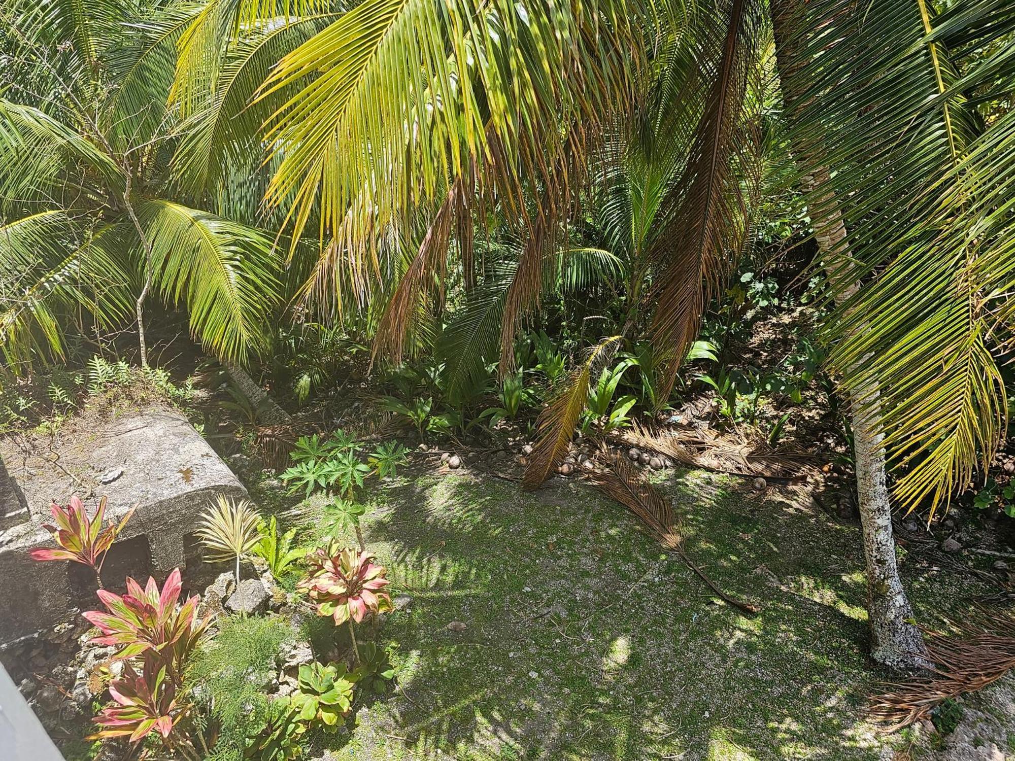 Villa Heleni Jessop'S Fatahega à Alofi Extérieur photo