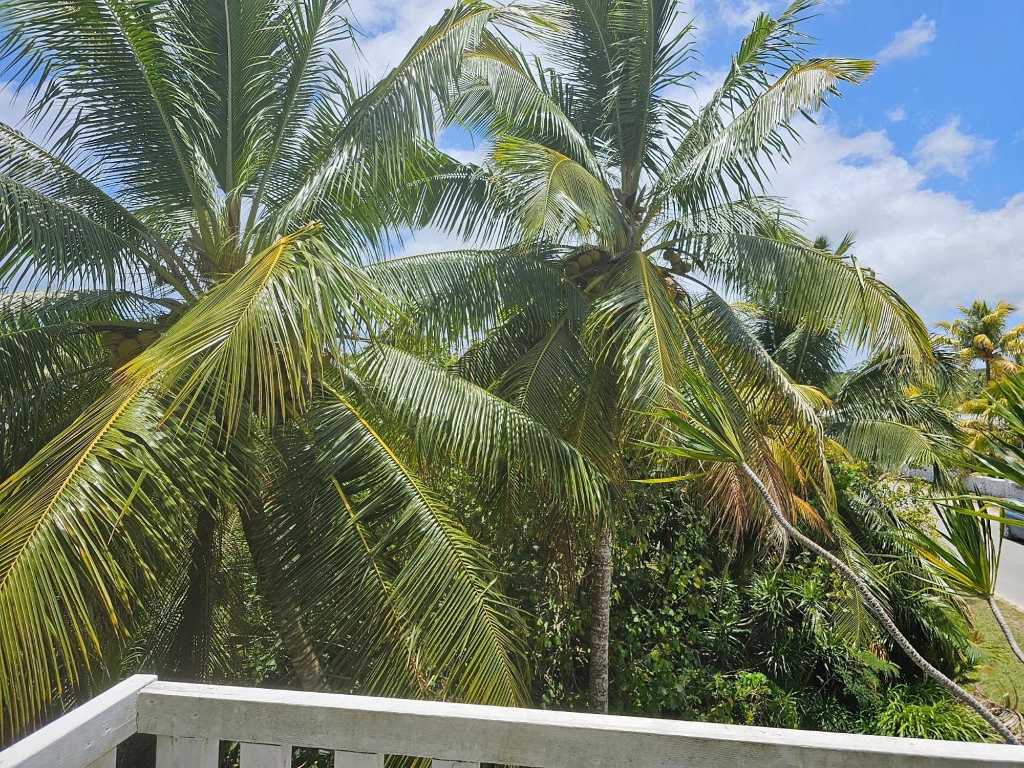 Villa Heleni Jessop'S Fatahega à Alofi Extérieur photo
